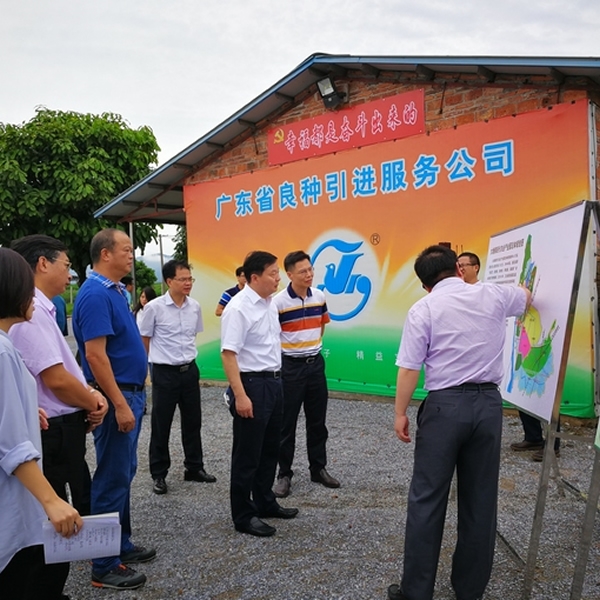 廣良佛山三水基地