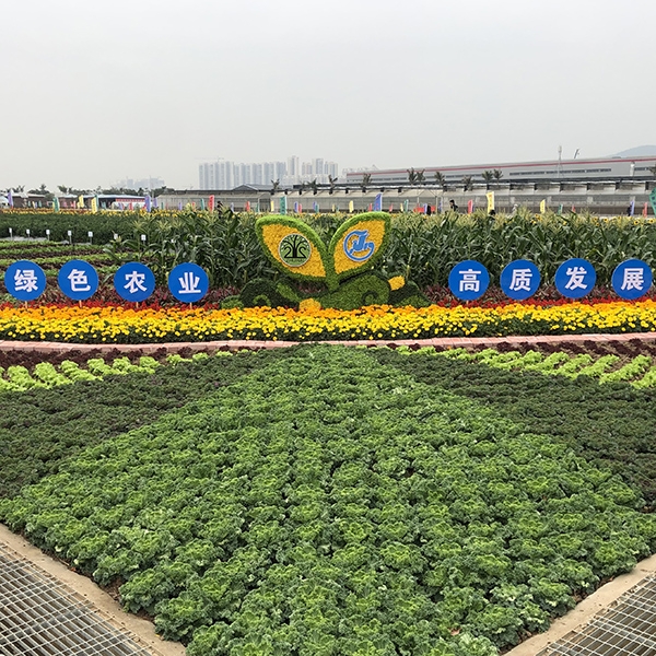 廣良珠海平沙示范基地